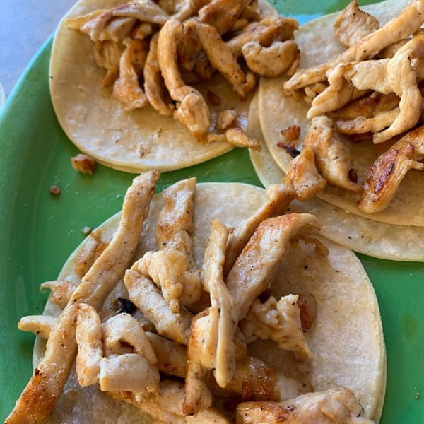Three chicken tacos with grilled chicken strips on corn tortillas, served on a green plate.